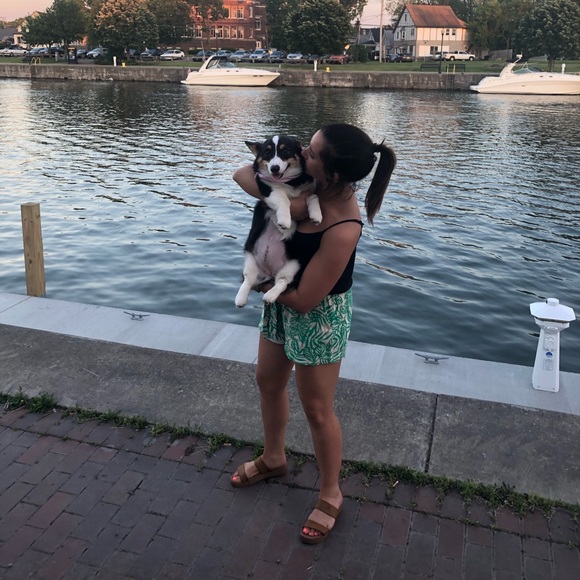 Meet your Posher, Molly - Picture 3 of 6